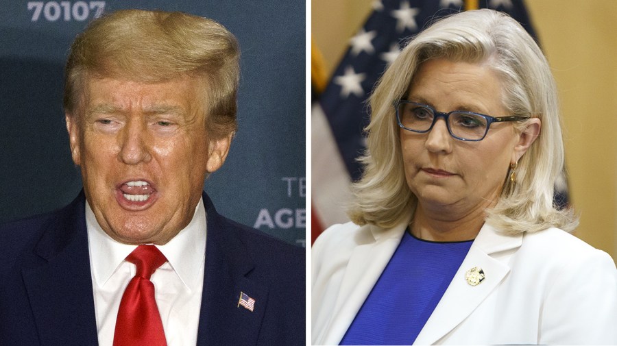 Donald Trump and Liz cheney