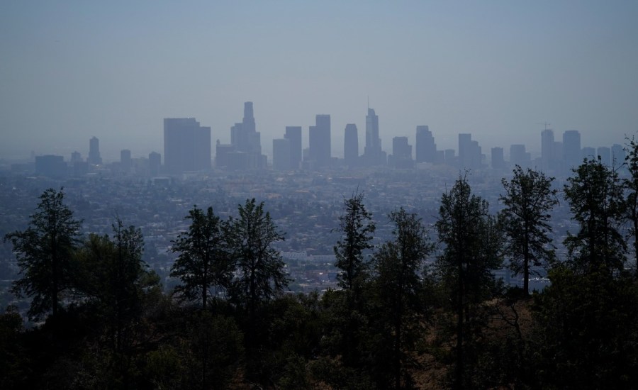 The skyline of Los Angeles is seen on a hazy day through treetops.