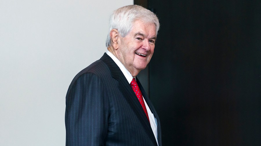 Former Speaker Newt Gingrich (R-Ga.)