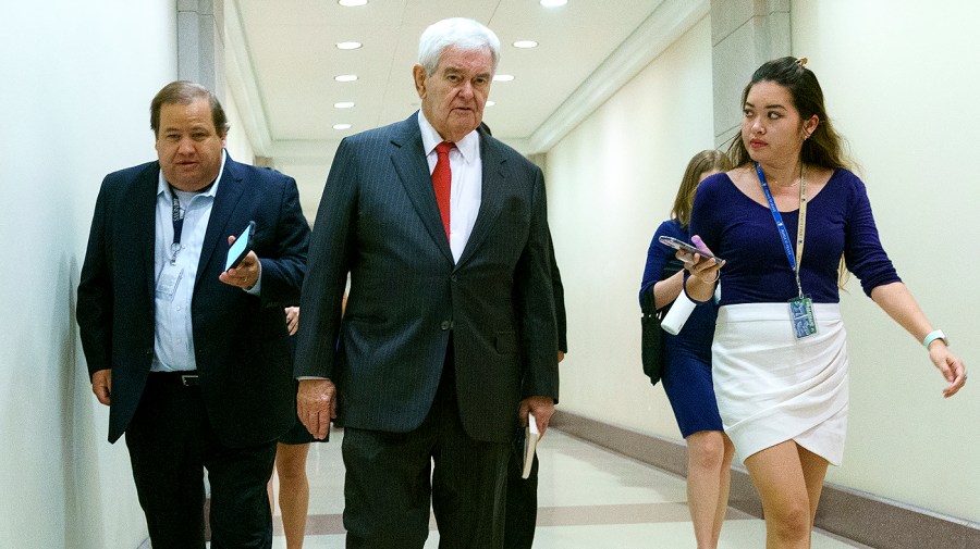 Former Speaker Newt Gingrich (R-Ga.)