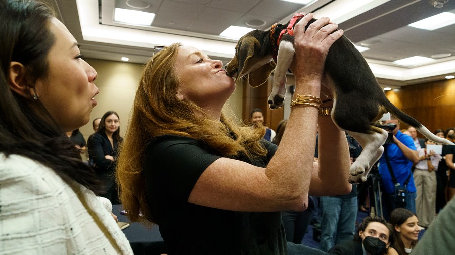 Rep. Kathleen Rice (D-N.Y.)