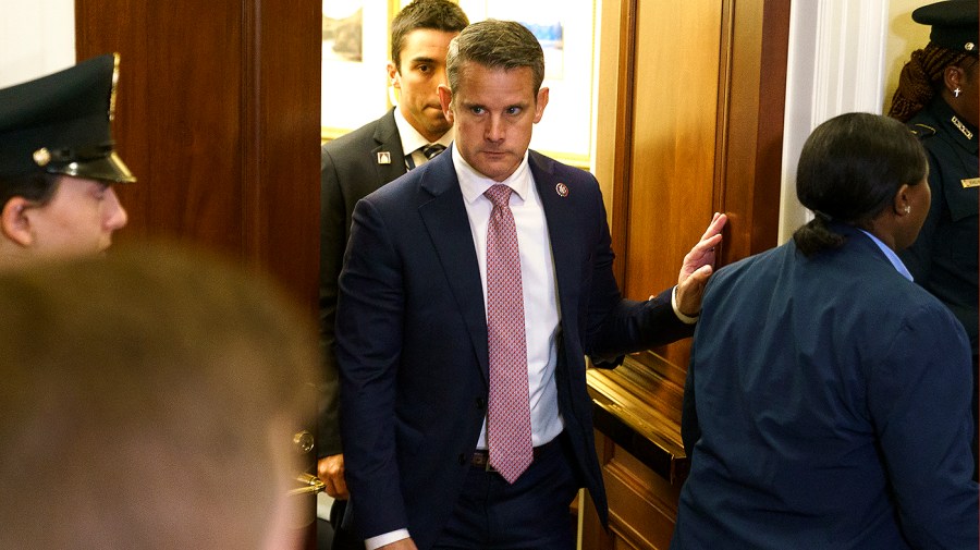 Rep. Adam Kinzinger (R-Ill.)