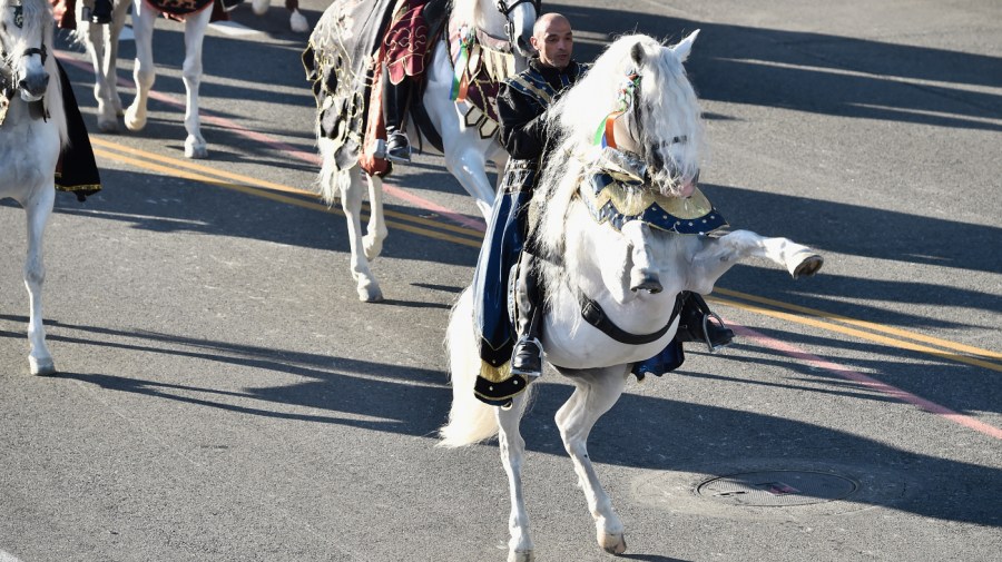 Members of the Medieval Times Dinner and Tournament