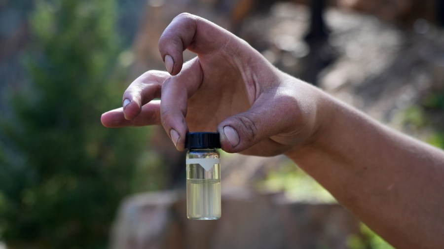 Water treatment plant employee Josh Scoggin holds up a water sample from the Gallinas River