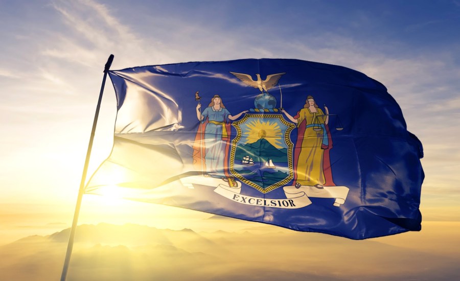 New York state flag.