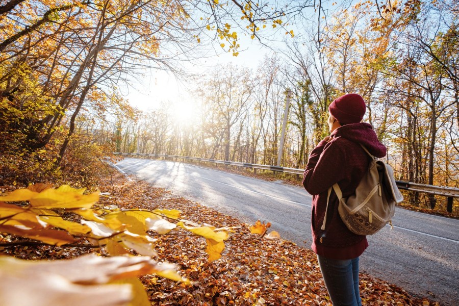 person looking down a road with trees in fall colors, light shining down