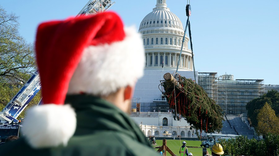 Capitol Christmas Tree