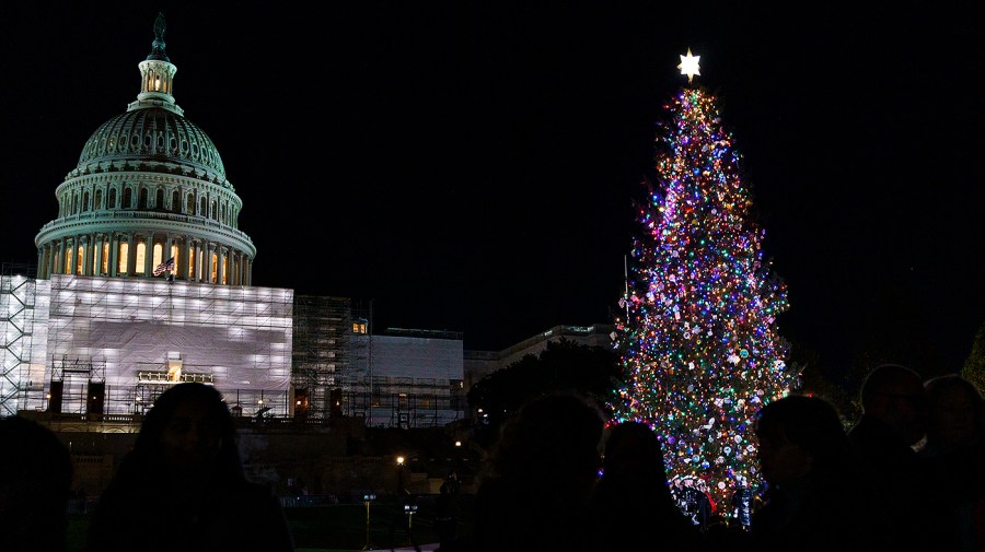 The Capitol Christmas Tree