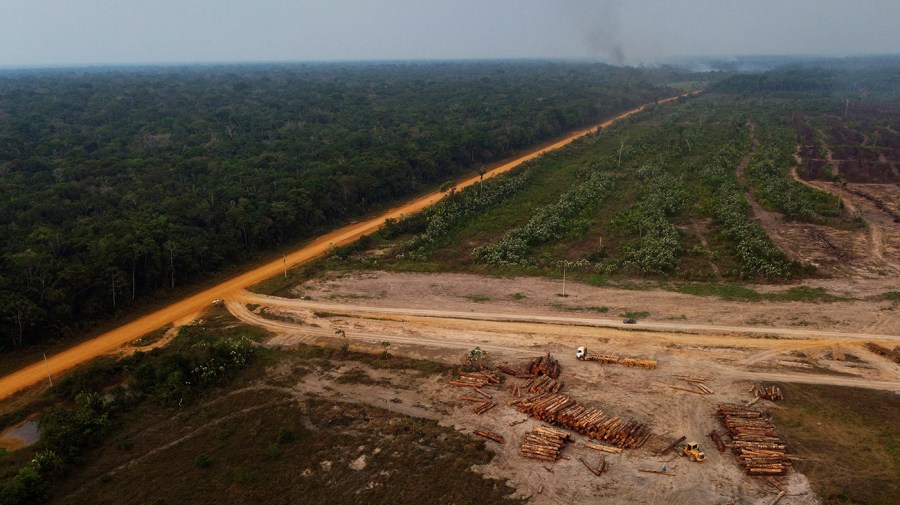 An area of forest on fire near a logging area in the Trans-Amazonica highway region