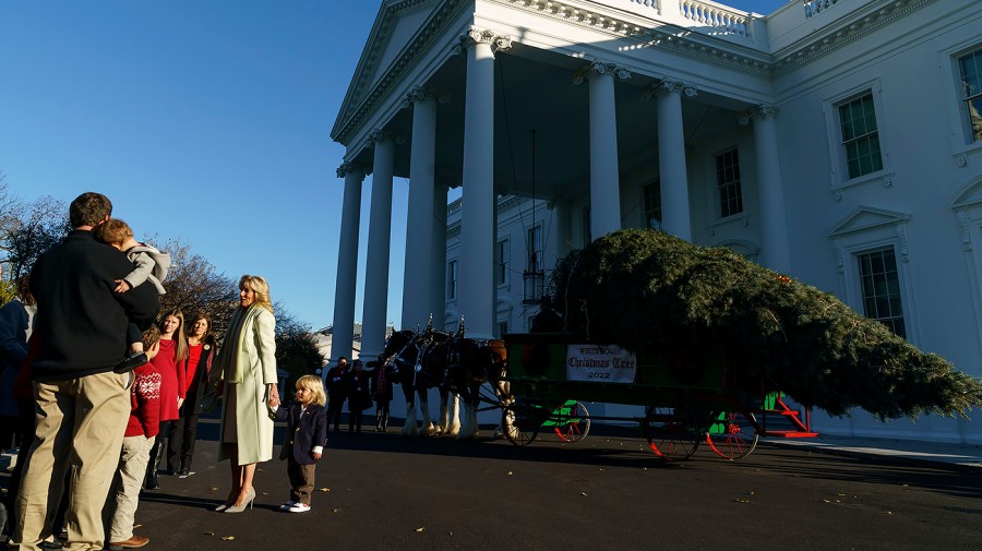 White House Christmas Tree