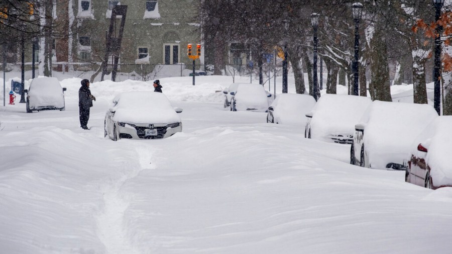 Cars covered by snow