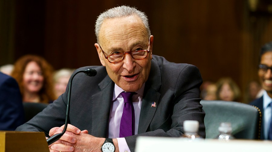 Majority Leader Charles Schumer (D-N.Y.)