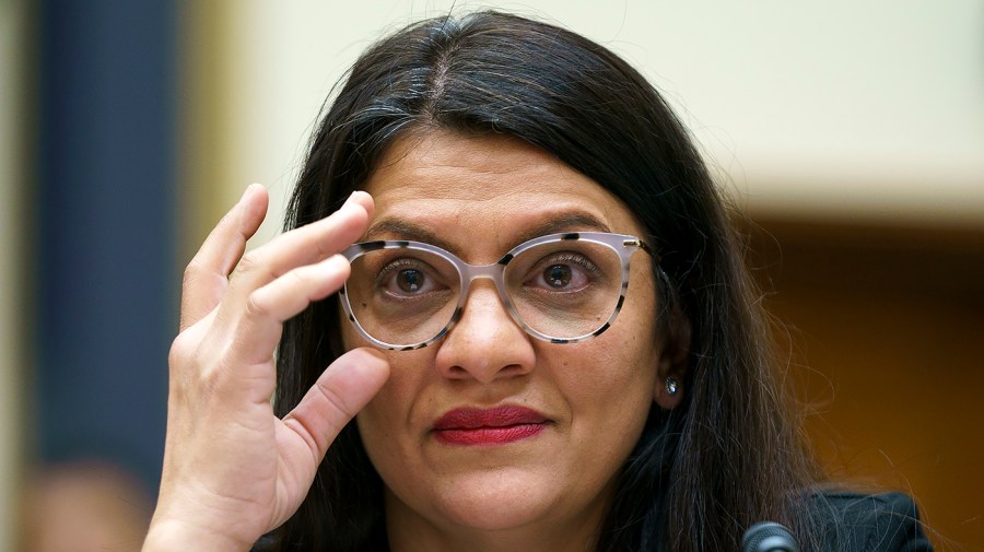 Rep. Rashida Tlaib (D-Mich.)