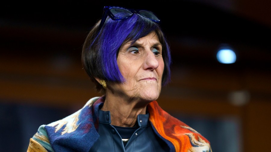 Rep. Rosa DeLauro (D-Conn.)