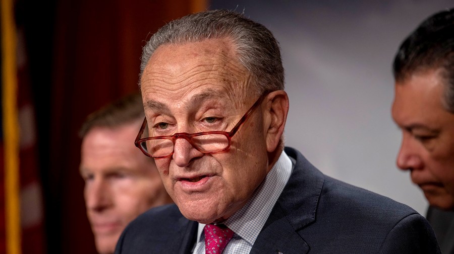 Senate Majority Leader Charles Schumer (D-N.Y.)