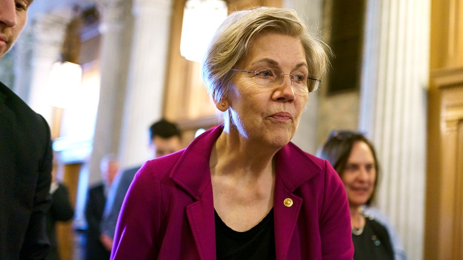 Sen. Elizabeth Warren (D-Mass.)