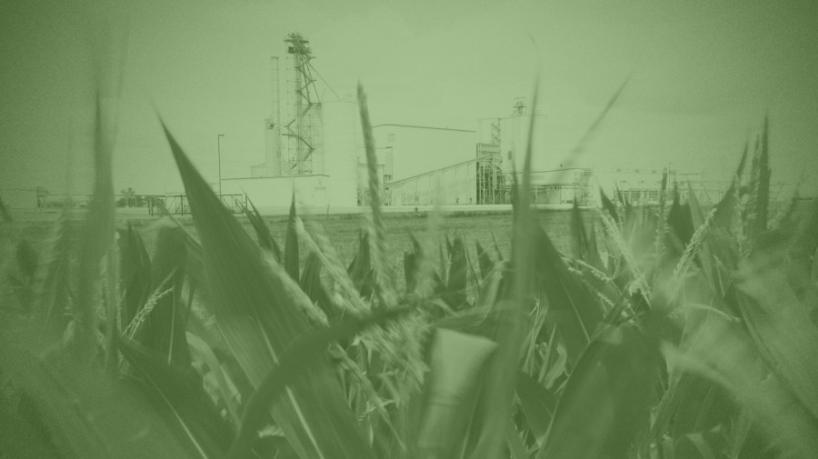 A biodiesel facility is seen in the distance through a field of corn that is tinted bright green