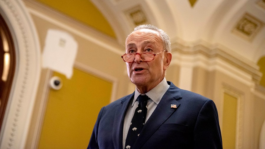 Majority Leader Chuck Schumer (D-N.Y.)