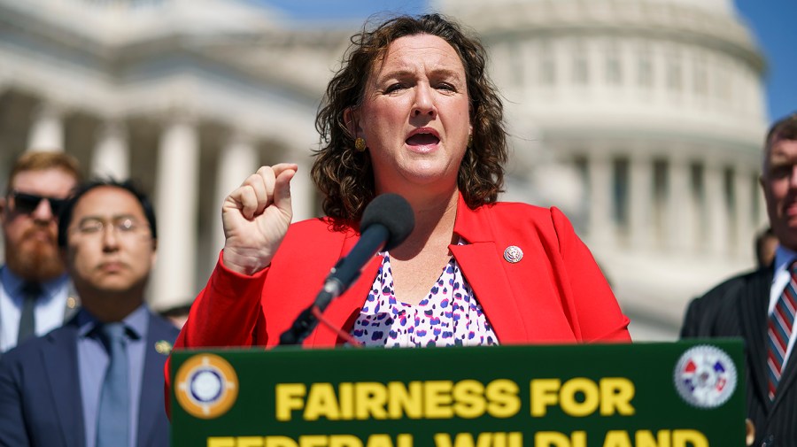 Rep. Katie Porter (D-Calif.)