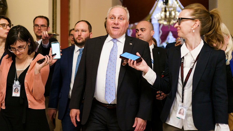 Majority Leader Steve Scalise (R-La.)