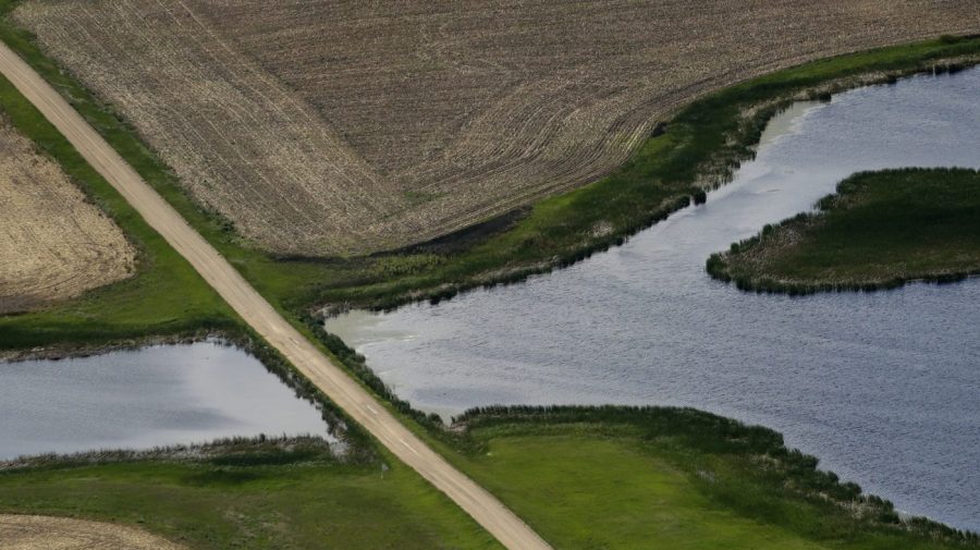 FILE - A road bisects a wetland on June 20, 2019, near Kulm, N.D. The Supreme Court has made it harder for the federal government to police water pollution. The decision from the court on Thursday, May 25, 2023, strips protections from wetlands that are isolated from larger bodies of water. It’s the second ruling in as many years in which a conservative majority has narrowed the reach of environmental regulations. (AP Photo/Charlie Riedel, File)