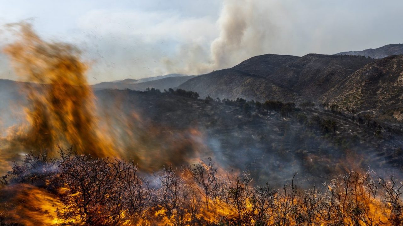 FILE - A forest burns during a wildfire near Altura, eastern Spain, on Friday, Aug. 19, 2022. Spain must do more to prepare for increasingly virulent wildfires stoked by climate change, a large group of the country’s leading wildfire prevention experts said on Thursday, June 15, 2023. (AP Photo/Alberto Saiz, File)