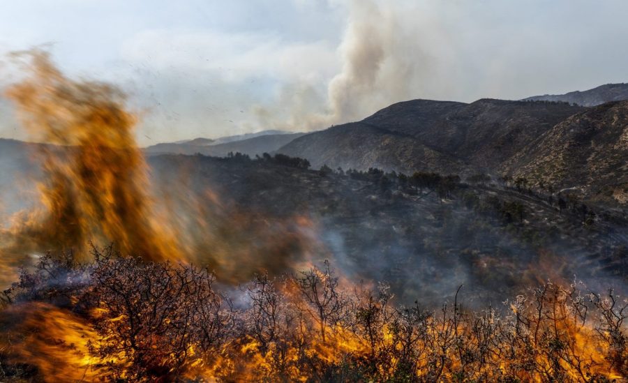 FILE - A forest burns during a wildfire near Altura, eastern Spain, on Friday, Aug. 19, 2022. Spain must do more to prepare for increasingly virulent wildfires stoked by climate change, a large group of the country’s leading wildfire prevention experts said on Thursday, June 15, 2023. (AP Photo/Alberto Saiz, File)