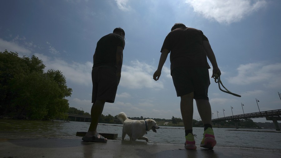 Brothers Fernando, left, and Jacob Ortega watch their dogs at White Rock Lake in Dallas, Tuesday, June 20, 2023.