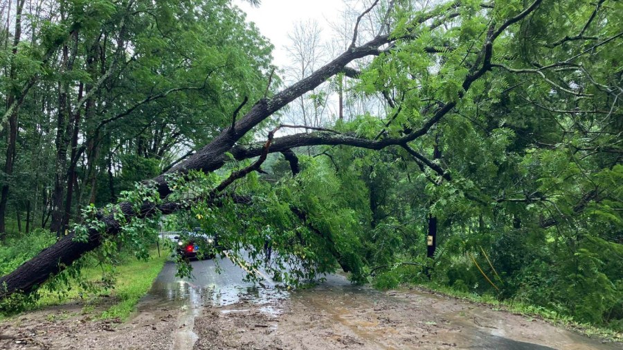 This photo provided by Jersey Central Power & Light shows flooding and a partially fallen tree along Swayze Mill Road, in Hope, N.J., Sunday, July 16, 2023.