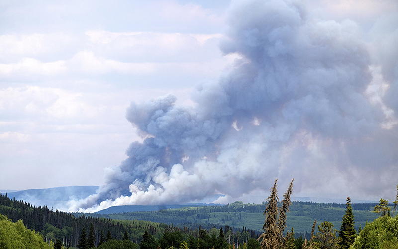 Smoke billows from the Donnie Creek wildfire over a green forest