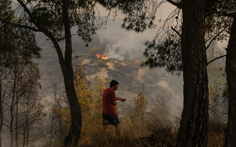 A man sprays a garden hose to extinguish a fire. He is framed by two trees. In the distance behind him, looking down from a hill, can be seen a wildfire, with flames and smoke rising from the valley.