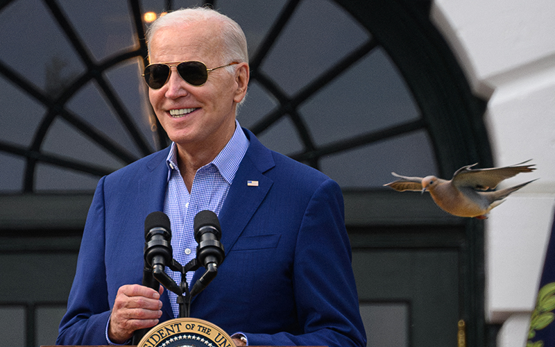 President Biden speaks as a bird flies past, seeming very close to the right of his shoulder.