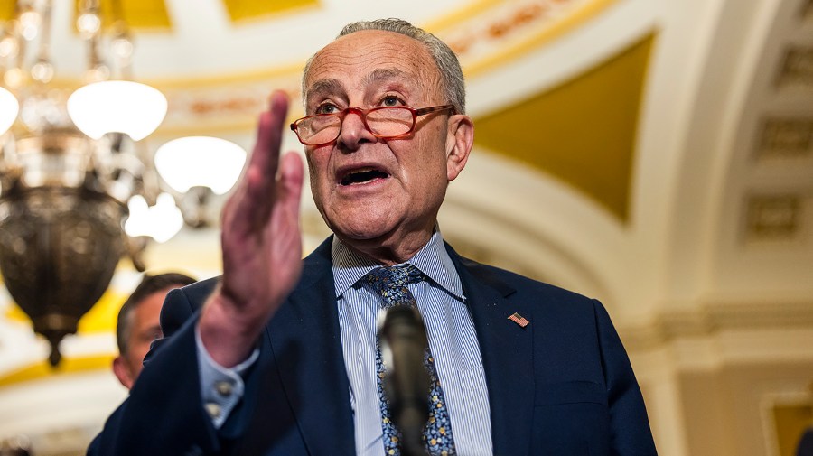 Majority Leader Charles Schumer (D-N.Y.)