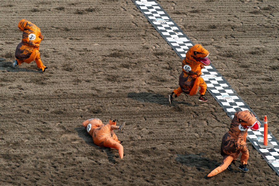 Cameron Corbin (43) takes a spill near the finish line while racing in the first set of heats during the "T-Rex World Championship Races" at Emerald Downs, Sunday, Aug. 20, 2023, in Auburn, Wash. (AP Photo/Lindsey Wasson)