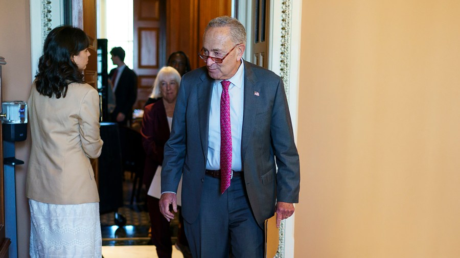 Majority Leader Chuck Schumer (D-N.Y.)