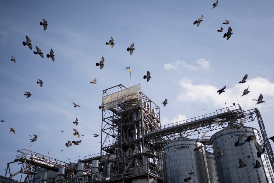 Birds fly around a grain handling and storage facility in central Ukraine, Friday, Nov. 10, 2023. In recent months, an increasing amount of grain has been unloaded from overcrowded silos and is heading to ports on the Black Sea, set to traverse a fledgling shipping corridor launched after Russia pulled out of a U.N.-brokered agreement this summer that allowed food to flow safely from Ukraine during the war. (AP Photo/Hanna Arhirova)