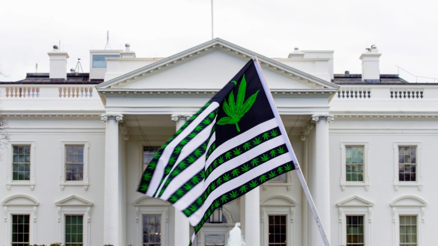 A demonstrator waves a flag with marijuana leaves depicted on it during a protest calling for the legalization of marijuana, outside of the White House on April 2, 2016.