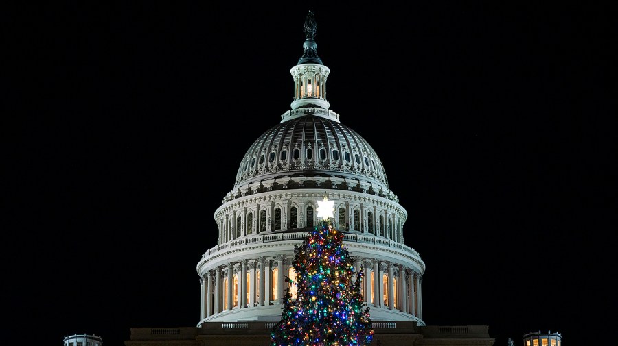 The Capitol Christmas Tree is seen on the West Lawn of the Capitol