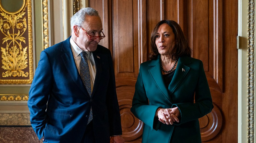 Vice President Harris speaks alongside Majority Leader Chuck Schumer (D-N.Y.)