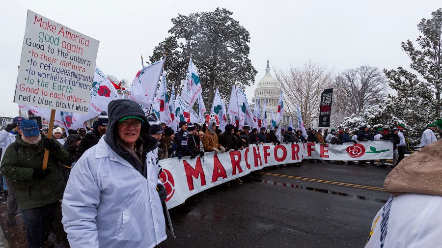 Supporters against abortion participate in the annual March for Life