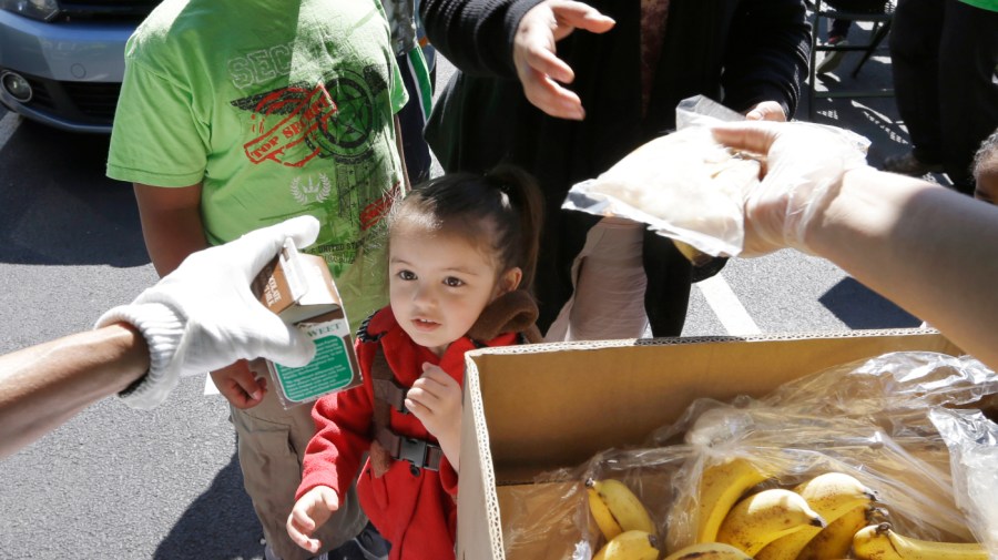 In this photo taken July 15, 2013, a child looks at the carton of milk she's being handed during a lunch program in Federal Way, Wash.