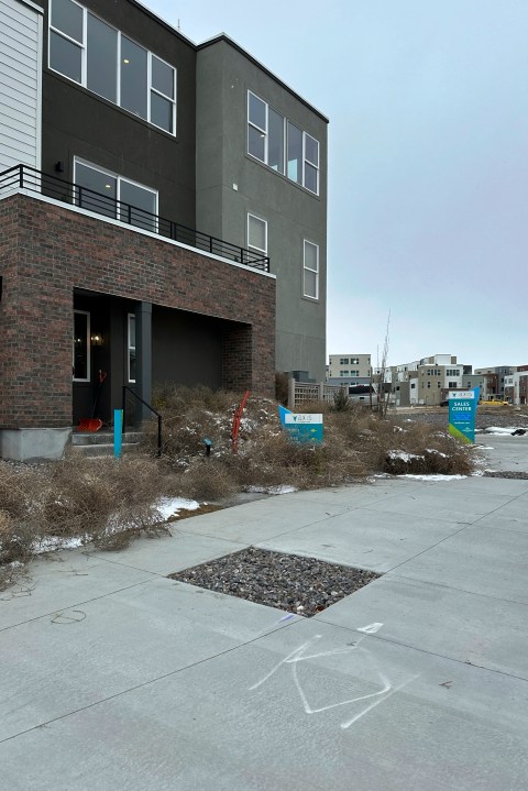 Tumbleweeds appear in front of a home in South Jordan, Utah, on Tuesday, March 5, 2024. The suburb of Salt Lake City was inundated with tumbleweeds after a weekend storm brought stiff winds to the area. The gnarled icon of the Old West rolled in over the weekend and kept rolling until blanketing some homes and streets in suburban Salt Lake City. (AP Photo/Brady McCombs)