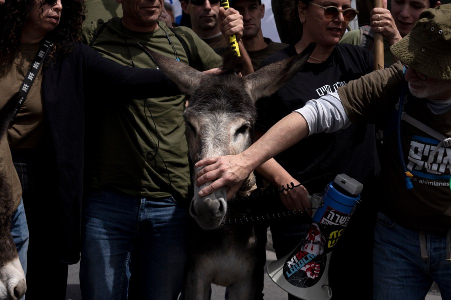 Members of Brothers and Sisters in Arms pose with a donkey, who chewed a megaphone cable, during a protest against Israel's exemptions for ultra-Orthodox Jews from mandatory military service, near the Prime Minister's office in Jerusalem, Tuesday, March 26, 2024. (AP Photo/Maya Alleruzzo)