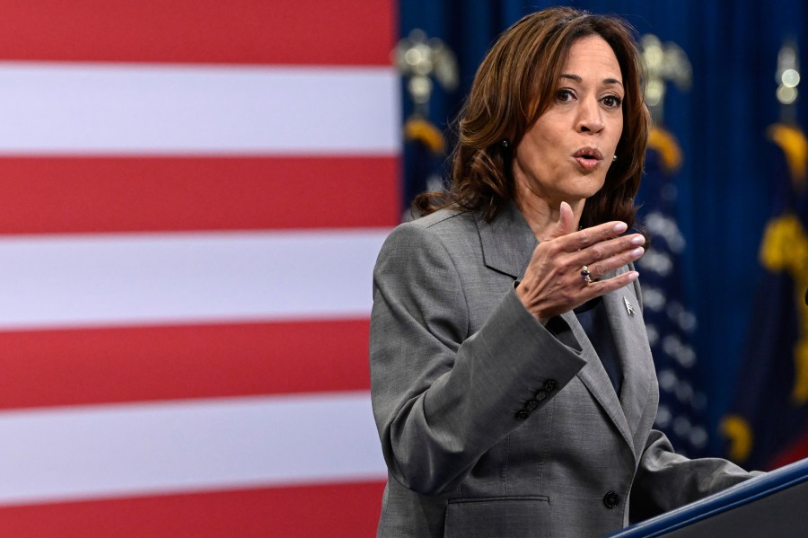 ARCHIVO - La vicepresidenta Kamala Harris habla sobre salud pública en Raleigh, Carolina del Norte, 26 de marzo de 2024. Los organismos federales deben demostrar que sus herramientas de inteligencia artificial no hacen daño a la gente, o bien dejar de usarlas, según nuevas normas reveladas por la Casa Blanca el jueves 28 de marzo de 2024. (AP Foto/Matt Kelley, File)