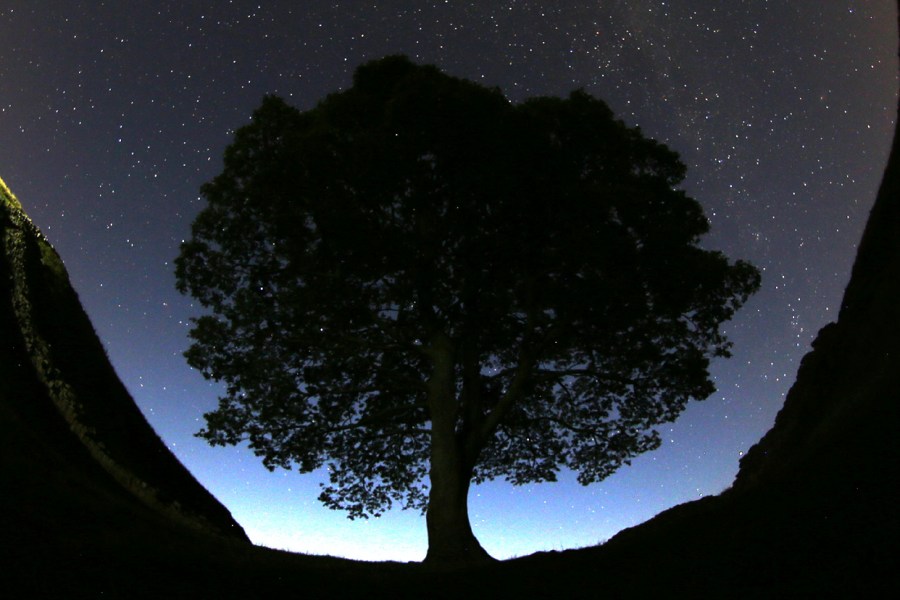 FILE - A general view of the stars above Sycamore Gap prior to the Perseid Meteor Shower above Hadrian's Wall near Bardon Mill, England, Wednesday, Aug. 12, 2015. Two men have been charged with causing criminal damage for cutting down a popular 150-year-old tree next to Hadrian's Wall and featured in a Kevin Costner’s 1991 film “Robin Hood: Prince Of Thieves,” prosecutors said Monday April 29, 2024. Daniel Graham and Adam Carruthers were also charged with damaging the wall that was built in AD 122 by Emperor Hadrian to to guard the north-west frontier of the Roman Empire. (AP Photo/Scott Heppell, File)