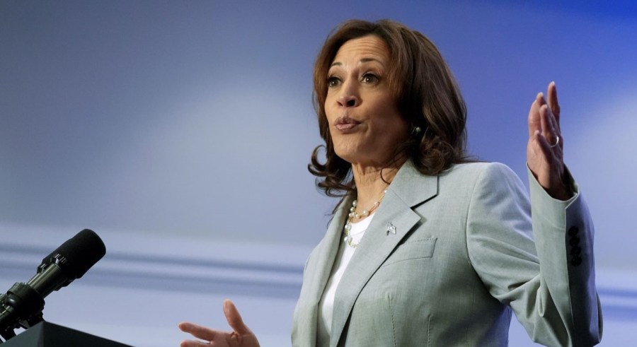 Vice President Harris gestures while speaking at an event.