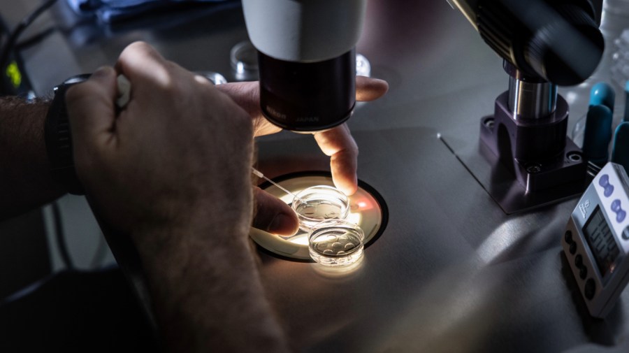 Illia Brusianskyi, a senior embryologist at West Coast Fertility Centers, in Fountain Valley, CA., adds media to petri dishes containing embryos, before freezing the embryos, February 29, 2024.