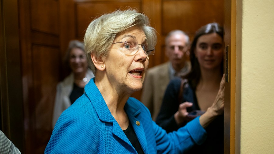 Sen. Elizabeth Warren (D-Mass.)