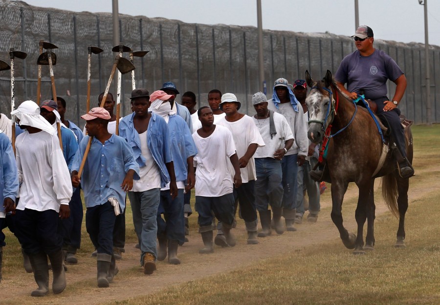 FILE - A prison guard rides a horse alongside prisoners as they return from farm work detail at the Louisiana State Penitentiary in Angola, La., on Aug. 18, 2011. U.S. District Court Judge Brian Jackson issued a temporary restraining order Tuesday, July 3, 2024, giving the state department of corrections seven days to provide a plan to improve conditions on the so-called Farm Line at Louisiana State Penitentiary, otherwise known as Angola. (AP Photo/Gerald Herbert, File)