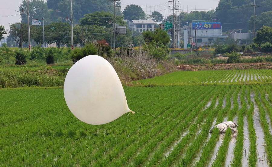 FILE - A balloon presumably sent by North Korea, is seen in a paddy field in Incheon, South Korea, on June 10, 2024. Kim Yo Jong, the powerful sister of North Korean leader Kim Jong Un vowed Sunday, July 14, 2024, to respond to what she called a fresh South Korean civilian leafleting campaign, signaling North Korea would soon resume flying trash-carrying balloons across the border.(Im Sun-suk/Yonhap via AP, File)